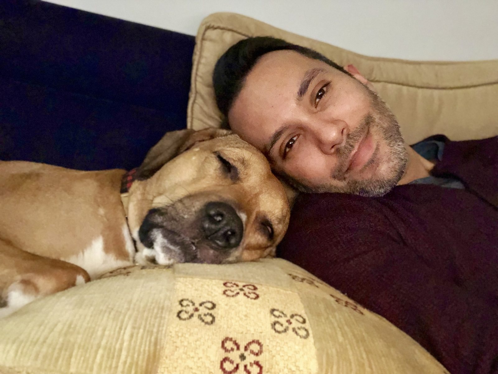 Eddie resting his head next to a sleeping Maya